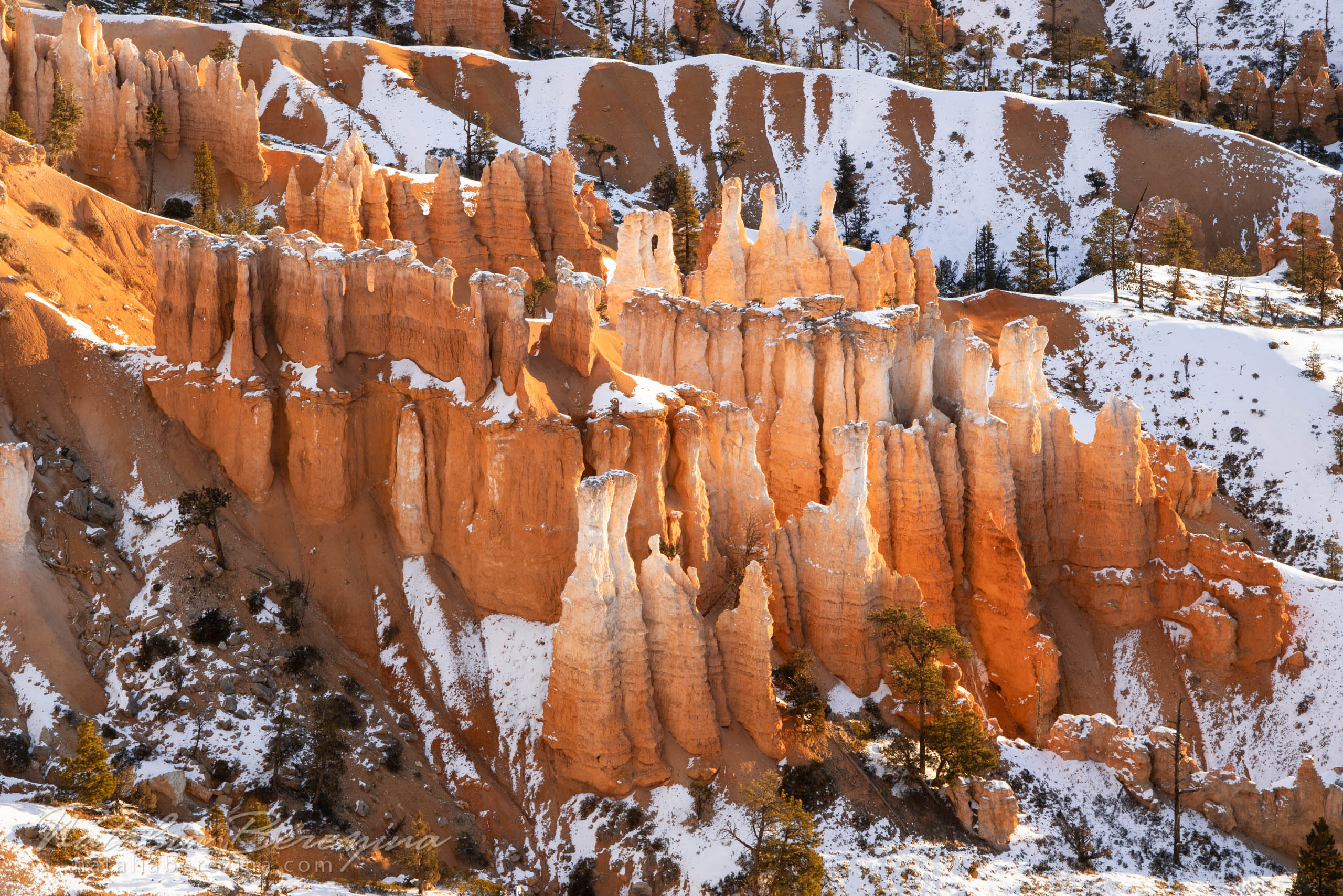  BC2-NB7B6A4702 - Bryce Canyon National Park, Utah, USA - Natalia Berezina Photography