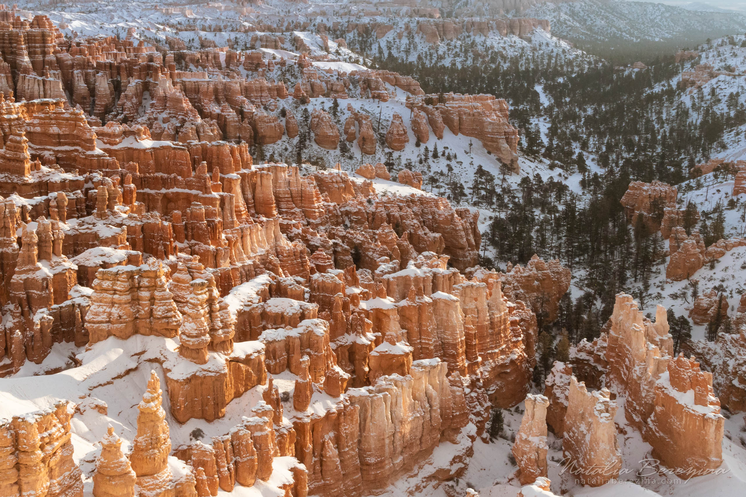 Bryce Canyon, USA, landscape, mountains, snow, stone, orange BC2-NB7B6A5065 - Bryce Canyon National Park, Utah, USA - Natalia Berezina Photography