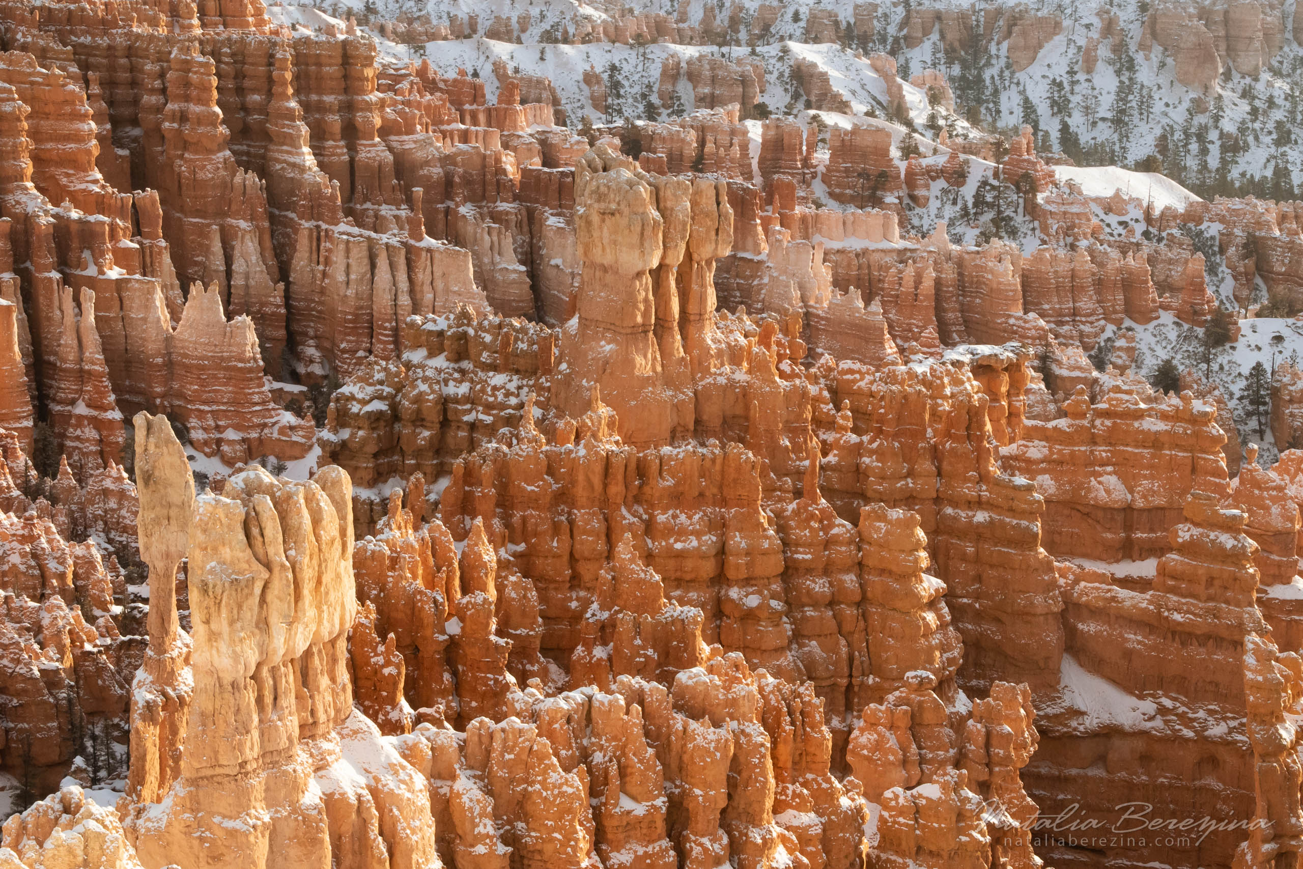 Bryce Canyon, USA, landscape, mountains, snow, stone, orange BC2-NB7B6A5088 - Bryce Canyon National Park, Utah, USA - Natalia Berezina Photography
