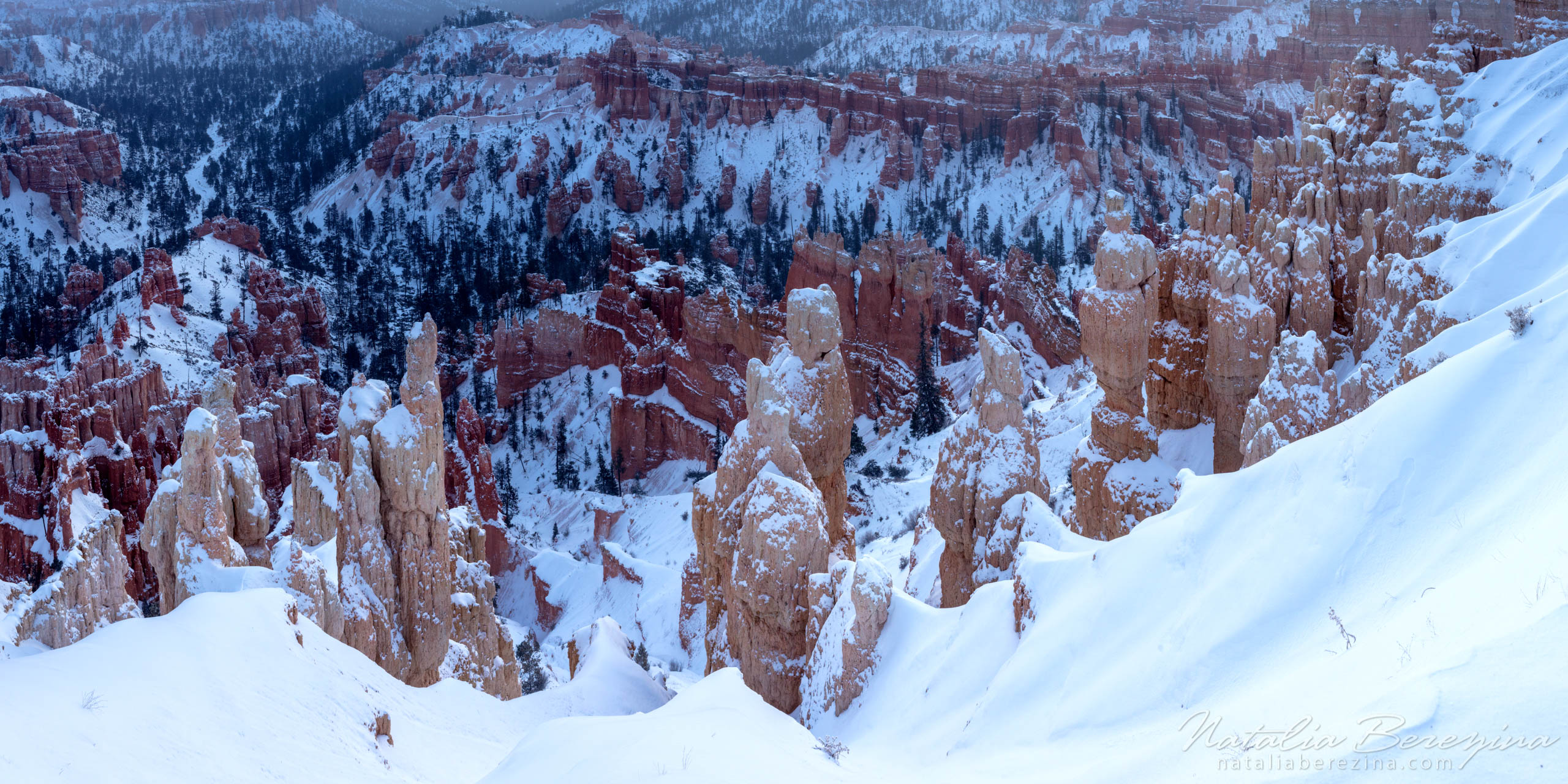 Bryce Canyon, USA, landscape, mountains, sunrise, snow, stone, 2x1 UT1-NB0B4A4839-P - Bryce Canyon National Park, Utah, USA - Natalia Berezina Photography