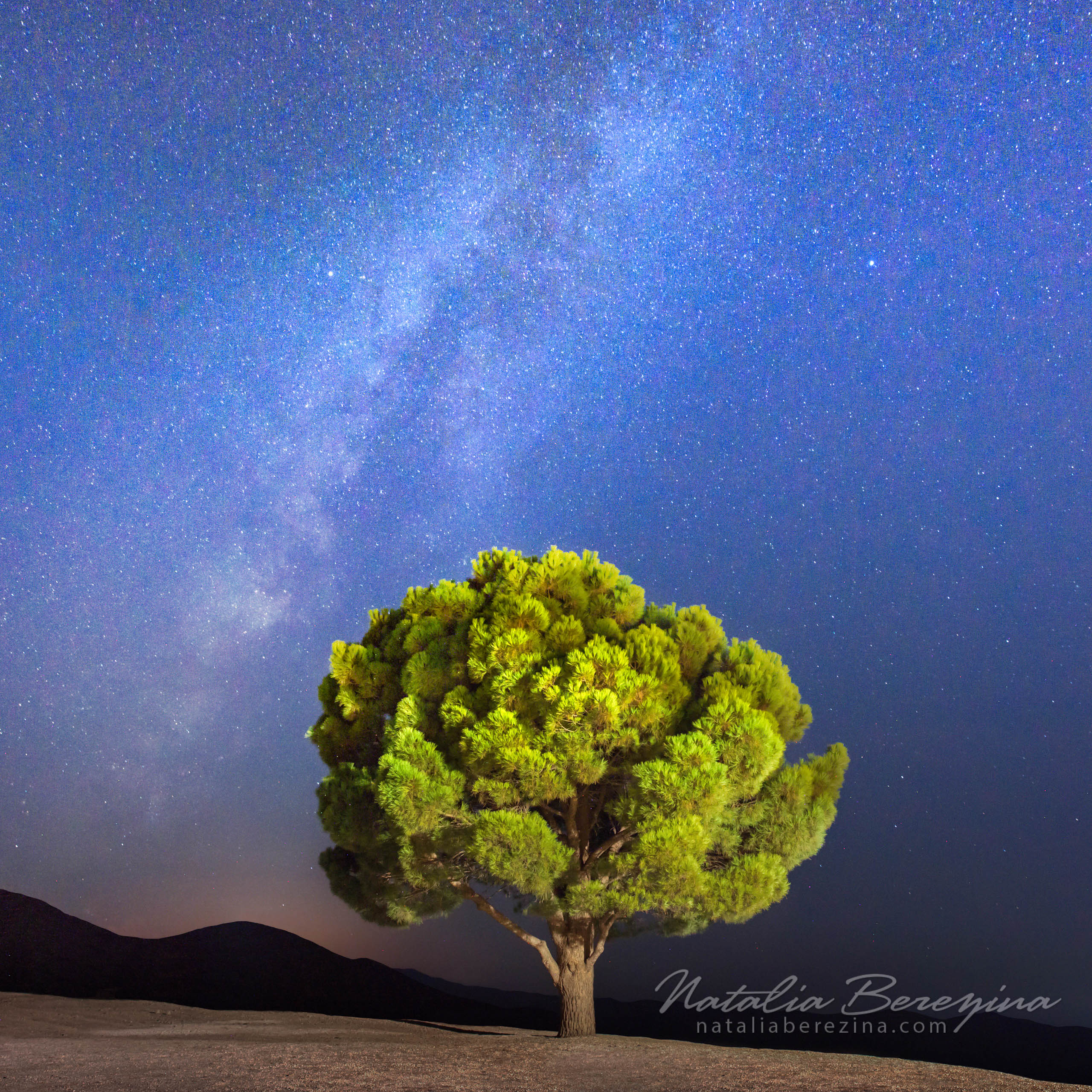 Greece, Crete, night time, star sky, Milky Way, tree, 1x1 CR1-NBDK1U9503 - Crete, Greece - Natalia Berezina Photography
