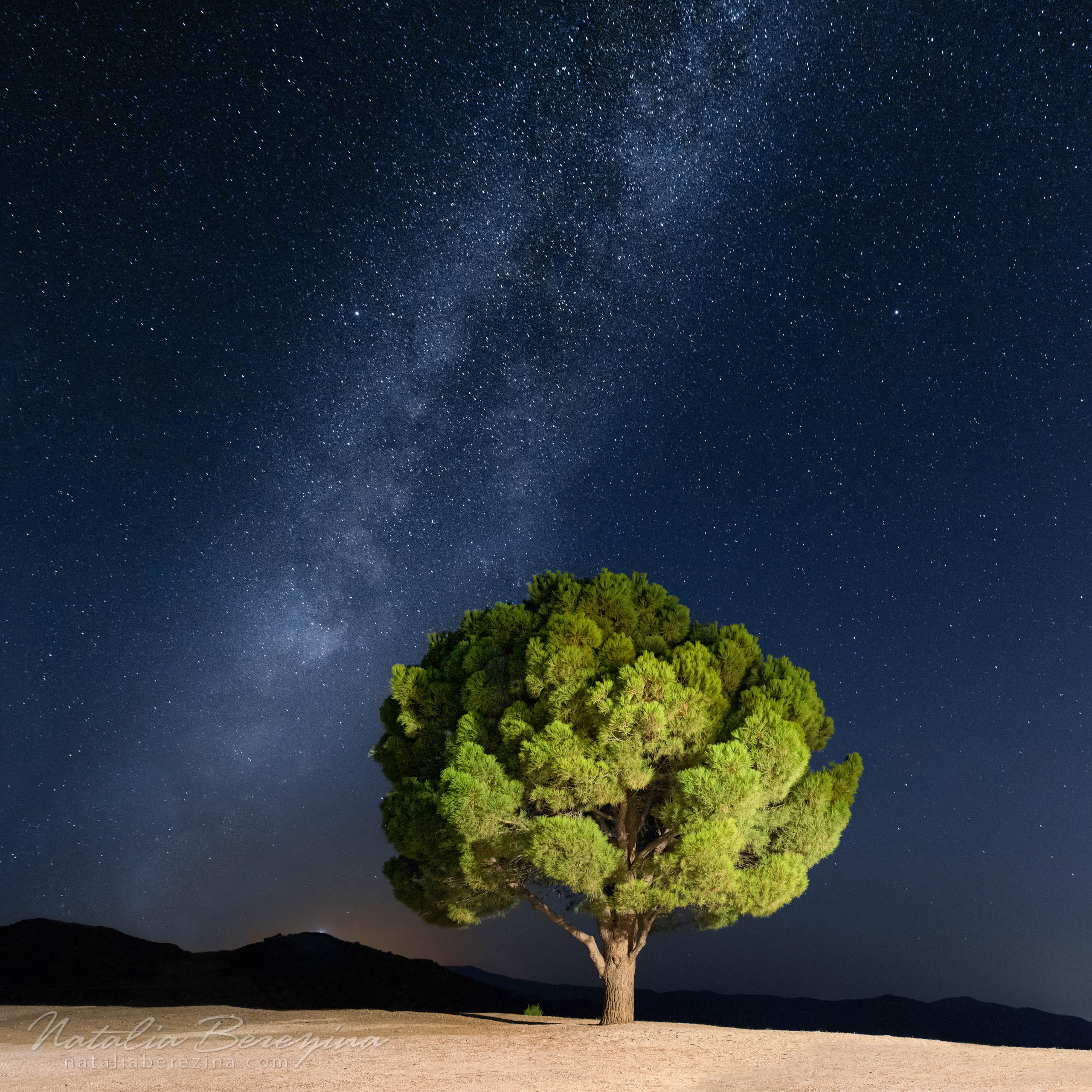 Greece, Crete, night time, star sky, Milky Way, tree, 1x1 CR1-NBDK1U9505 - Crete, Greece - Natalia Berezina Photography