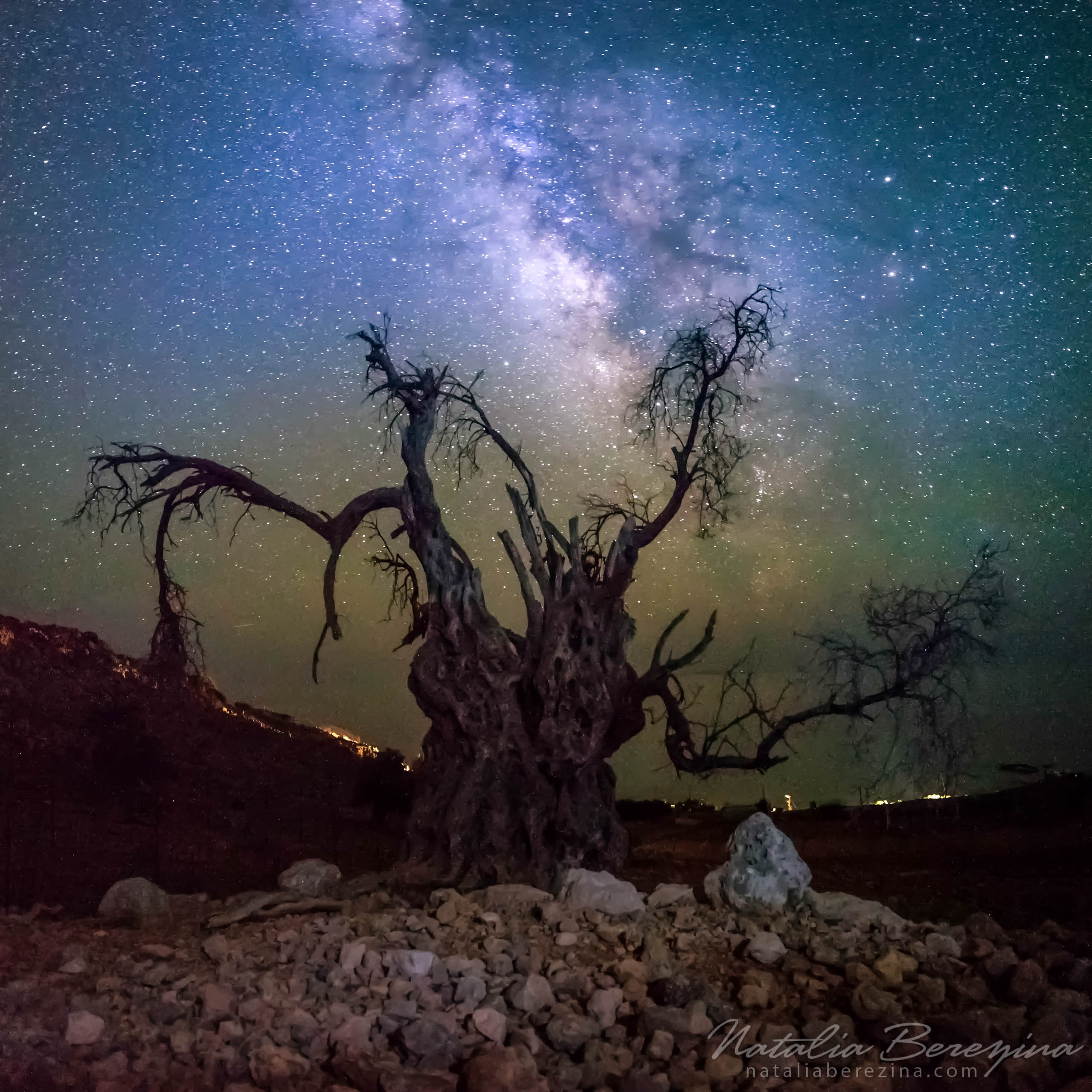 Greece, Crete, night time, star sky, Milky Way, tree, 1x1 CR1-NBDK1U9730 - Crete, Greece - Natalia Berezina Photography