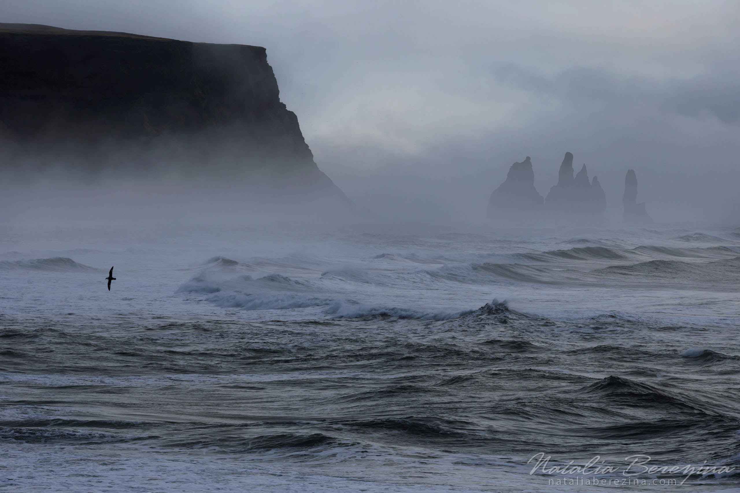 Iceland, landscape, sea view, rock, fog, wave IC1-NBDK1U1524 - Iceland - Natalia Berezina Photography