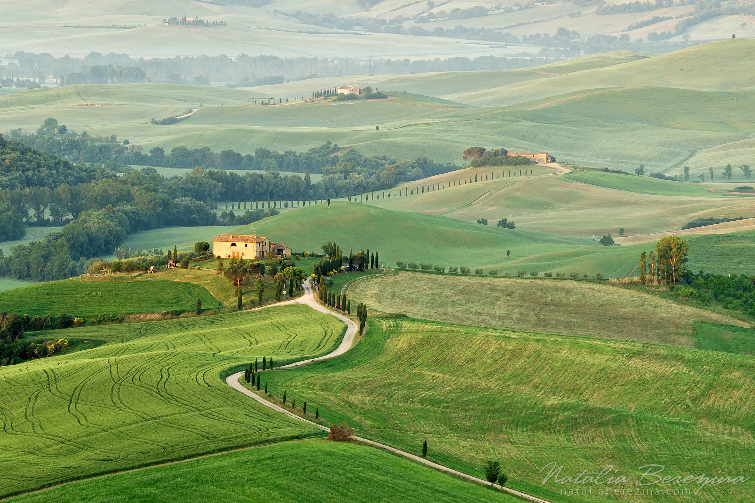 Tuscany, Italy, cityscape, green TU1-NBAG0Z0107 - Tuscany, Italy - Natalia Berezina Photography