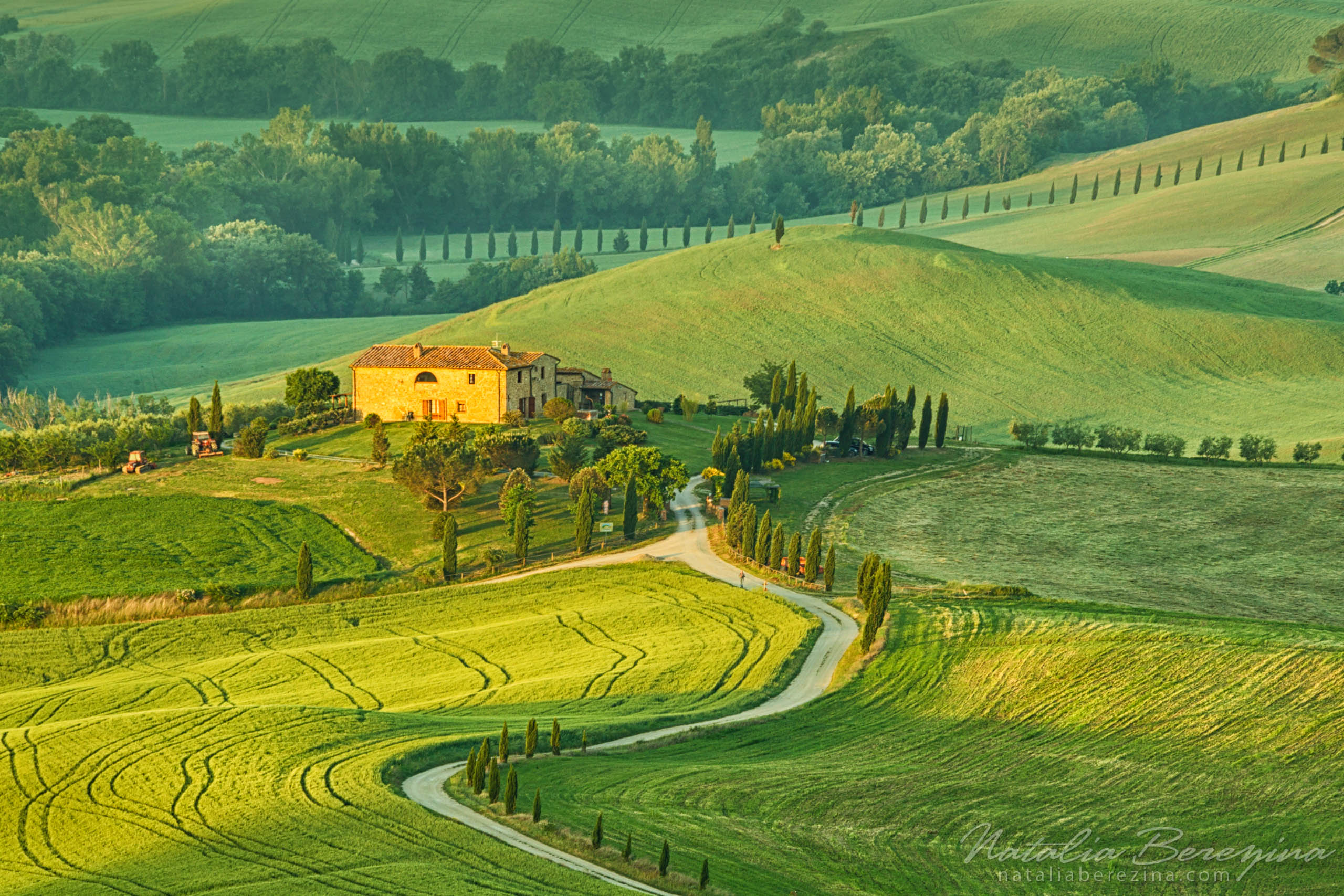 Tuscany, Italy, cityscape, green TU1-NBAG0Z0136 - Tuscany, Italy - Natalia Berezina Photography