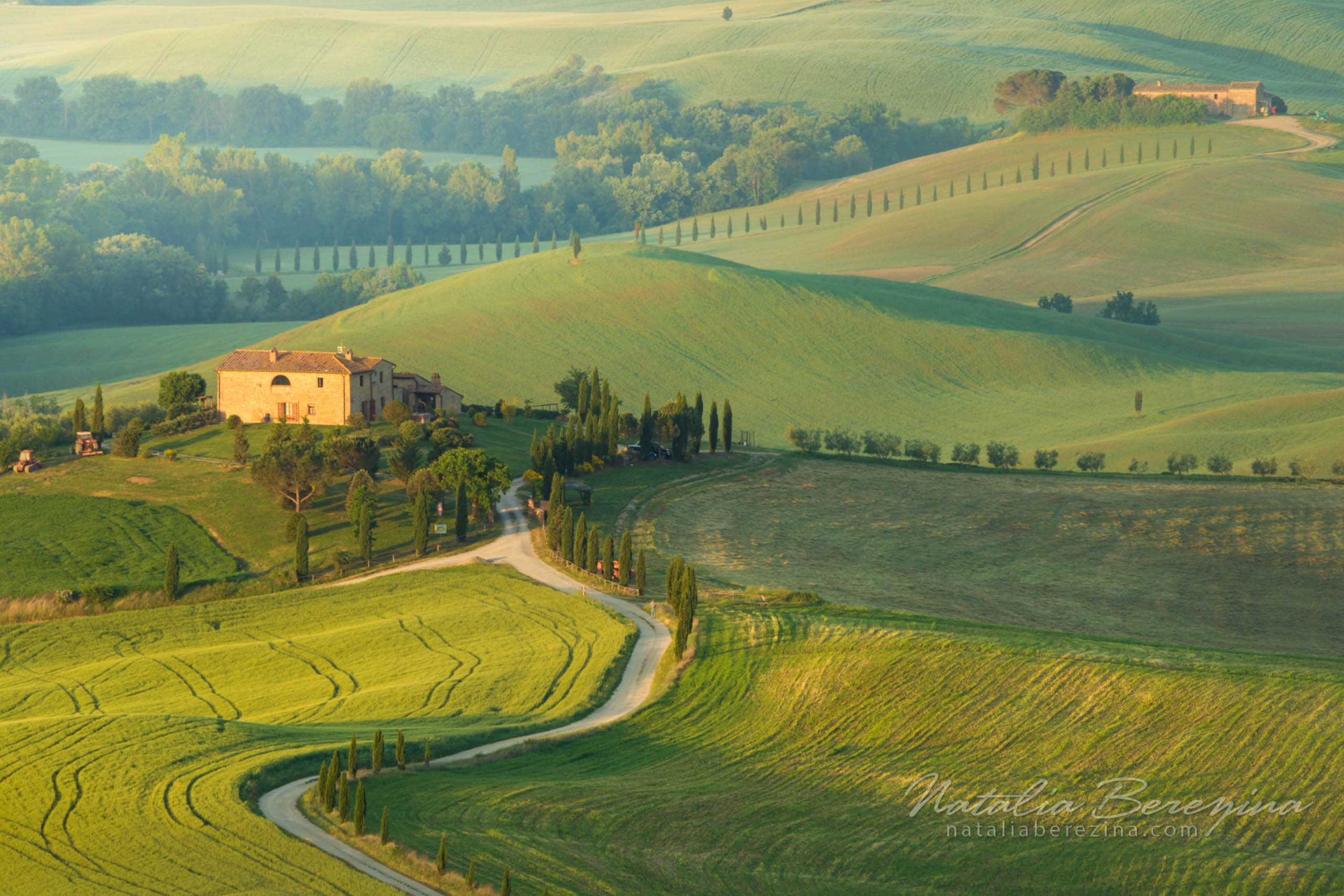 Tuscany, Italy, cityscape, green TU1-NBAG0Z0151 - Tuscany, Italy - Natalia Berezina Photography