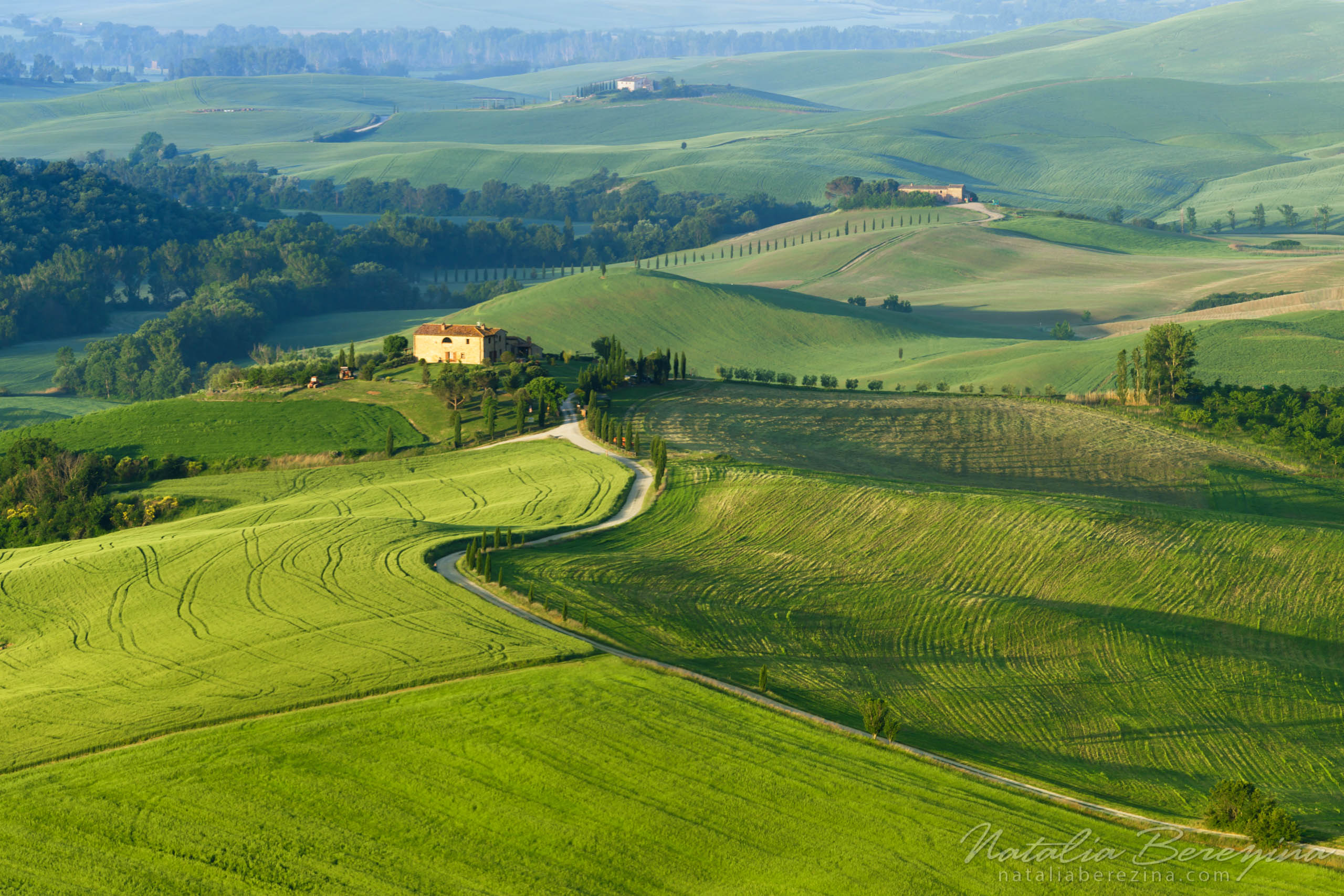 Tuscany, Italy, cityscape, green TU1-NBDK1U1677 - Tuscany, Italy - Natalia Berezina Photography