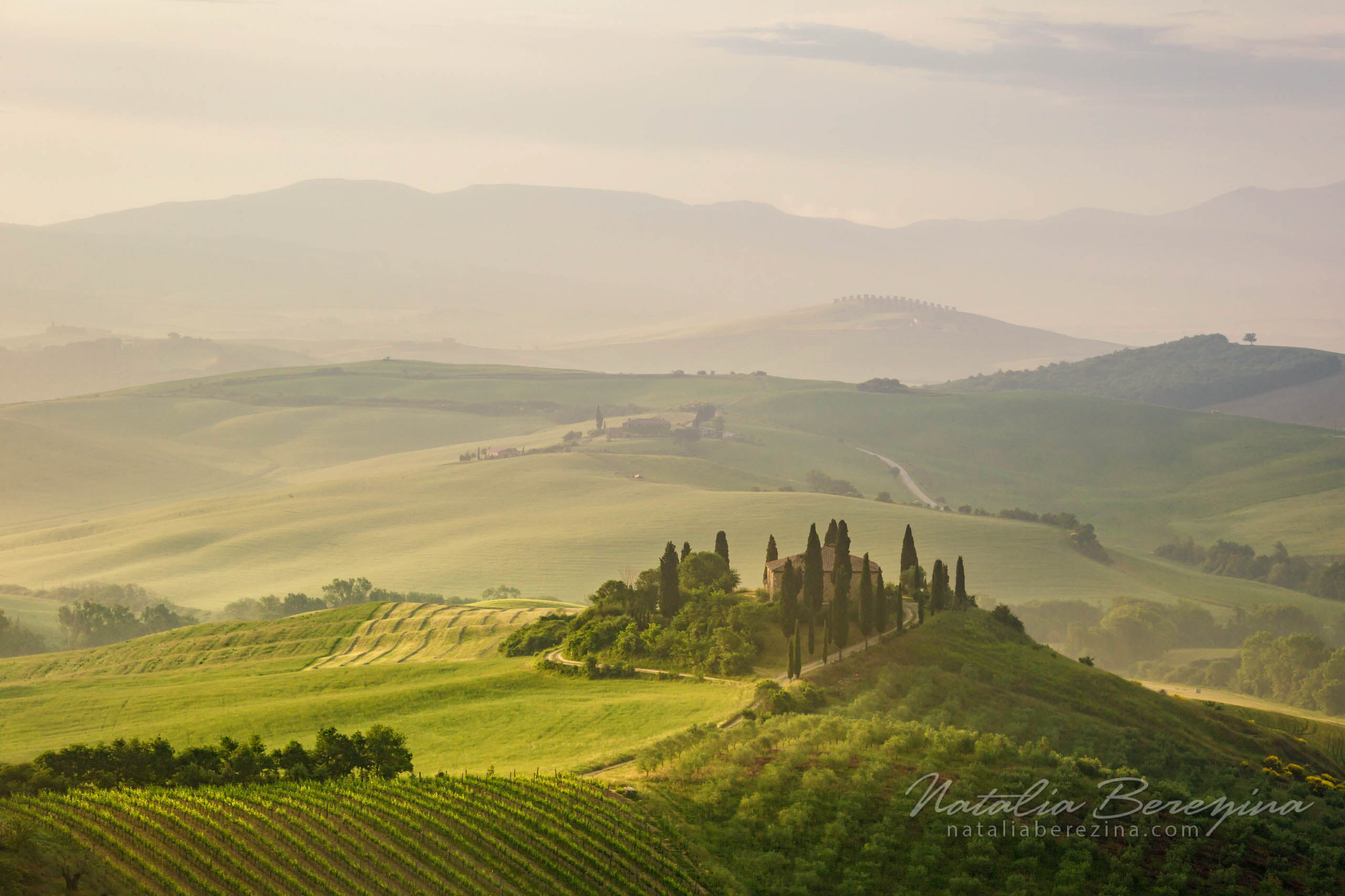Val d'Orcia, Tuscany, Italy, landscape, green TU1-NBDK1U2558 - Tuscany, Italy - Natalia Berezina Photography