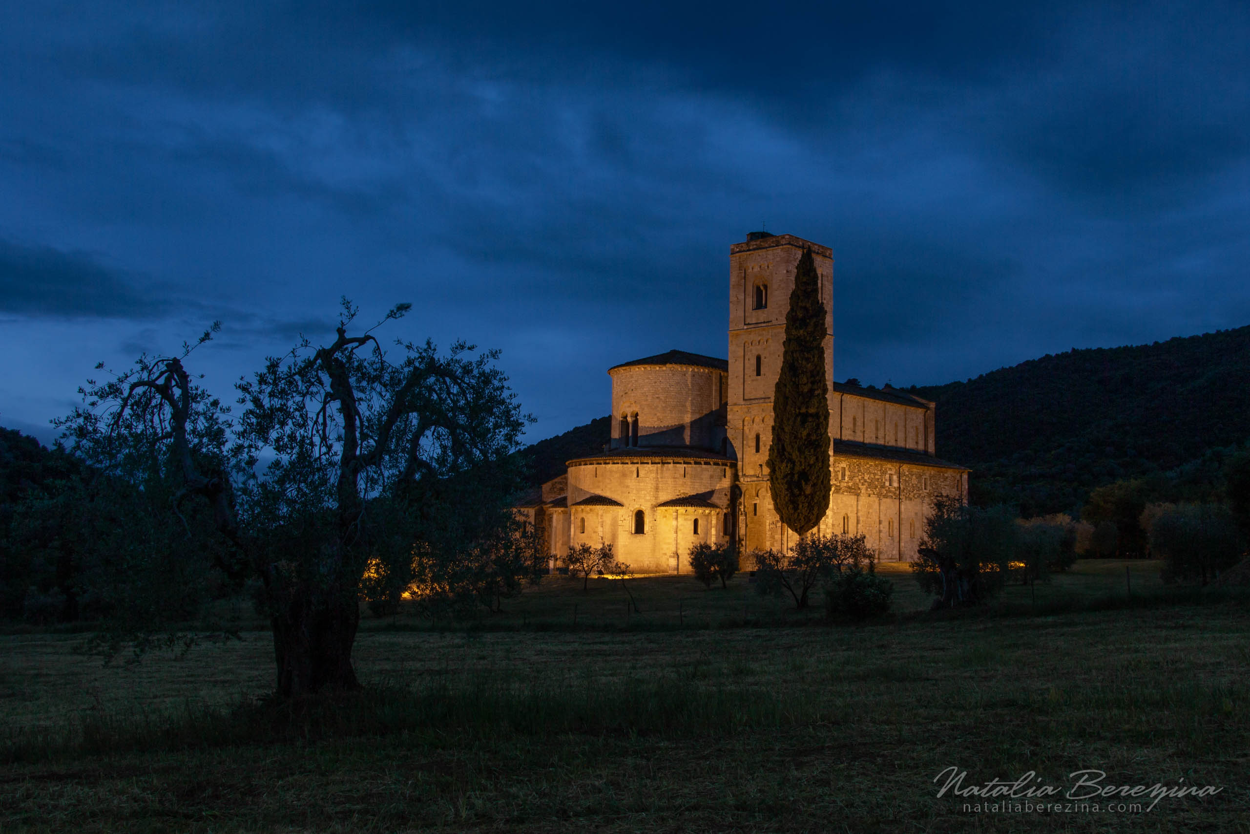 Tuscany, Italy, cityscape, night time,  tree, castle TU1-NBDK1U3267 - Tuscany, Italy - Natalia Berezina Photography